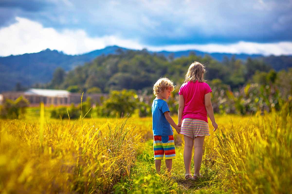 7 Best Family-Friendly Destinations in Vietnam for an Unforgettable Vacation - Ảnh 2 7 Best Family-Friendly Destinations in Vietnam for an Unforgettable Vacation - Ảnh 2