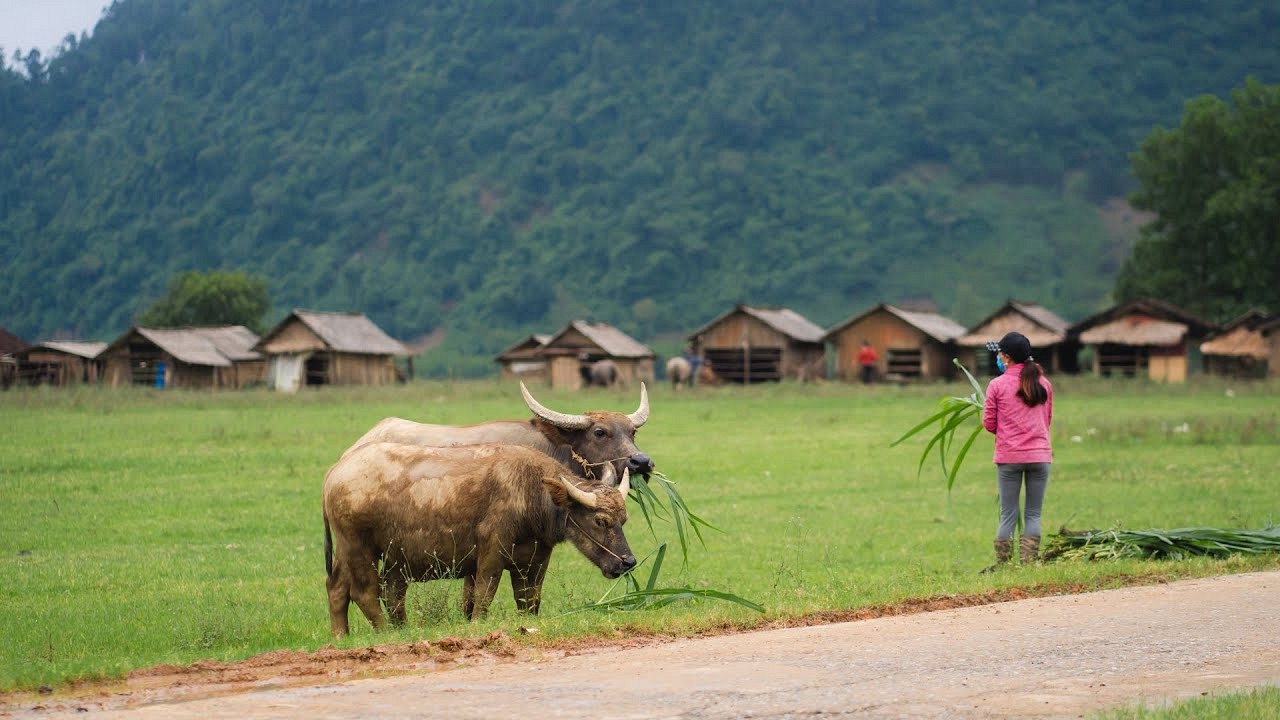 Discover Vietnam’s Award-Winning Tourism Villages - Ảnh 2 Discover Vietnam’s Award-Winning Tourism Villages - Ảnh 2
