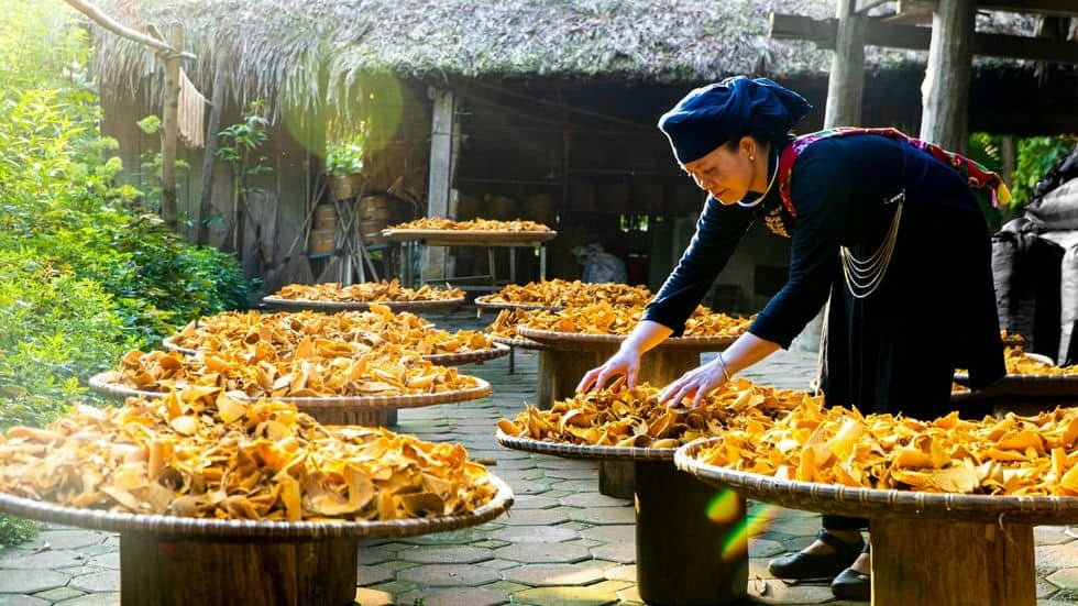 Discover Vietnam’s Award-Winning Tourism Villages - Ảnh 1 Discover Vietnam’s Award-Winning Tourism Villages - Ảnh 1