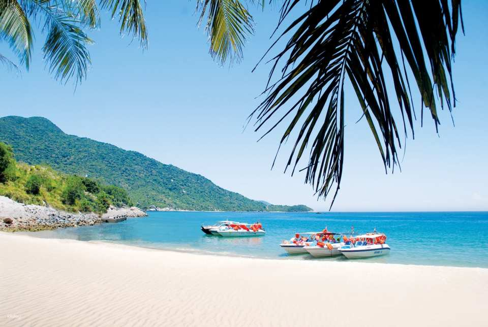 Top Things to Do in Hoi An, Vietnam: Complete Travel Guide - Ảnh 15 Top Things to Do in Hoi An, Vietnam: Complete Travel Guide - Ảnh 15