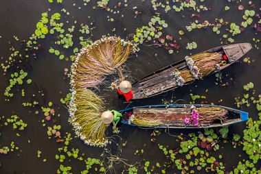 Best of North & South Vietnam