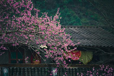 Ha Giang Trekking Package