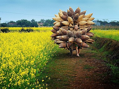 Timeless Hidden Vietnam Beauty