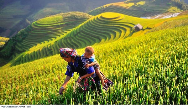 10 Days - Essence of Vietnam