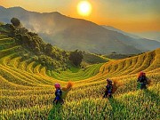 Hoang Su Phi Trekking Package
