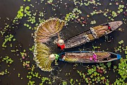 Best of North & South Vietnam
