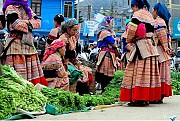 Northern Vietnam Family Tour