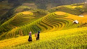 Muong Hoa Valley To Hoang Lien Park