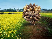 Timeless Hidden Vietnam Beauty