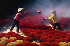 8-Day Vietnam At A Glance