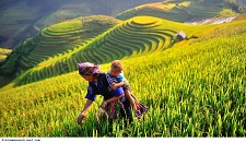 Best of North & South Vietnam