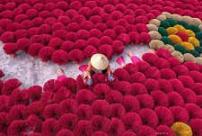 Best of North & South Vietnam
