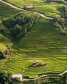 Best of Vietnam Family Holiday