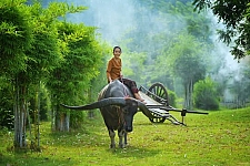 Cambodia In Depth
