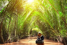 Cu Chi Tunnels & Mekong Delta Full Day