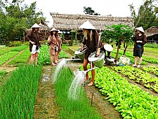 Essence of Vietnam