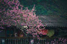 Ha Giang Trekking Package
