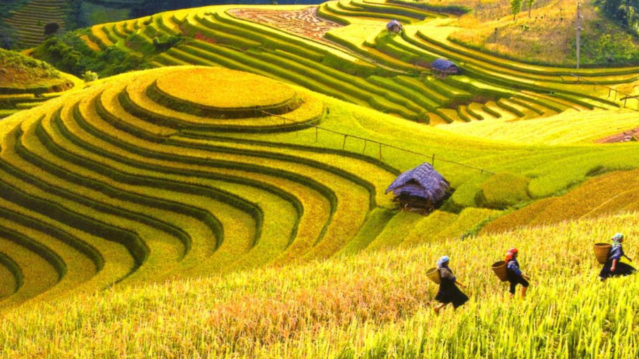 Hoang Su Phi Trekking Package