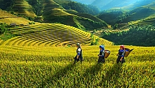 North East Vietnam Discovery
