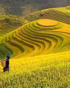 Northern Vietnam Family Tour