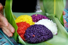 Northern Vietnam Family Tour