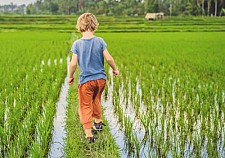 The Poetic Beauty Of Central Vietnam