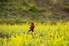 Timeless Hidden Vietnam Beauty