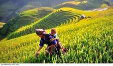 Vietnam Best Vacation