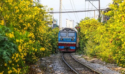 Kid-Friendly Activities in Vietnam: Best Things to Do with Kids
