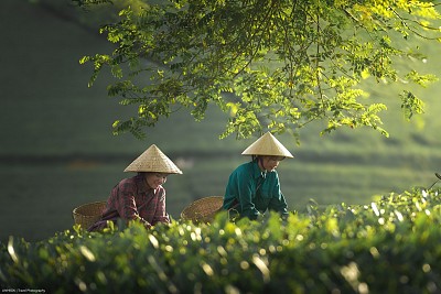 Ultimate Vietnam Travel Guide 2026 - What Every First-Time Visitor Should Know