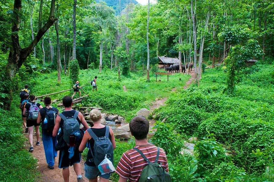7 Best National Parks in Vietnam for Nature & Adventure - Ảnh 1 7 Best National Parks in Vietnam for Nature & Adventure - Ảnh 1