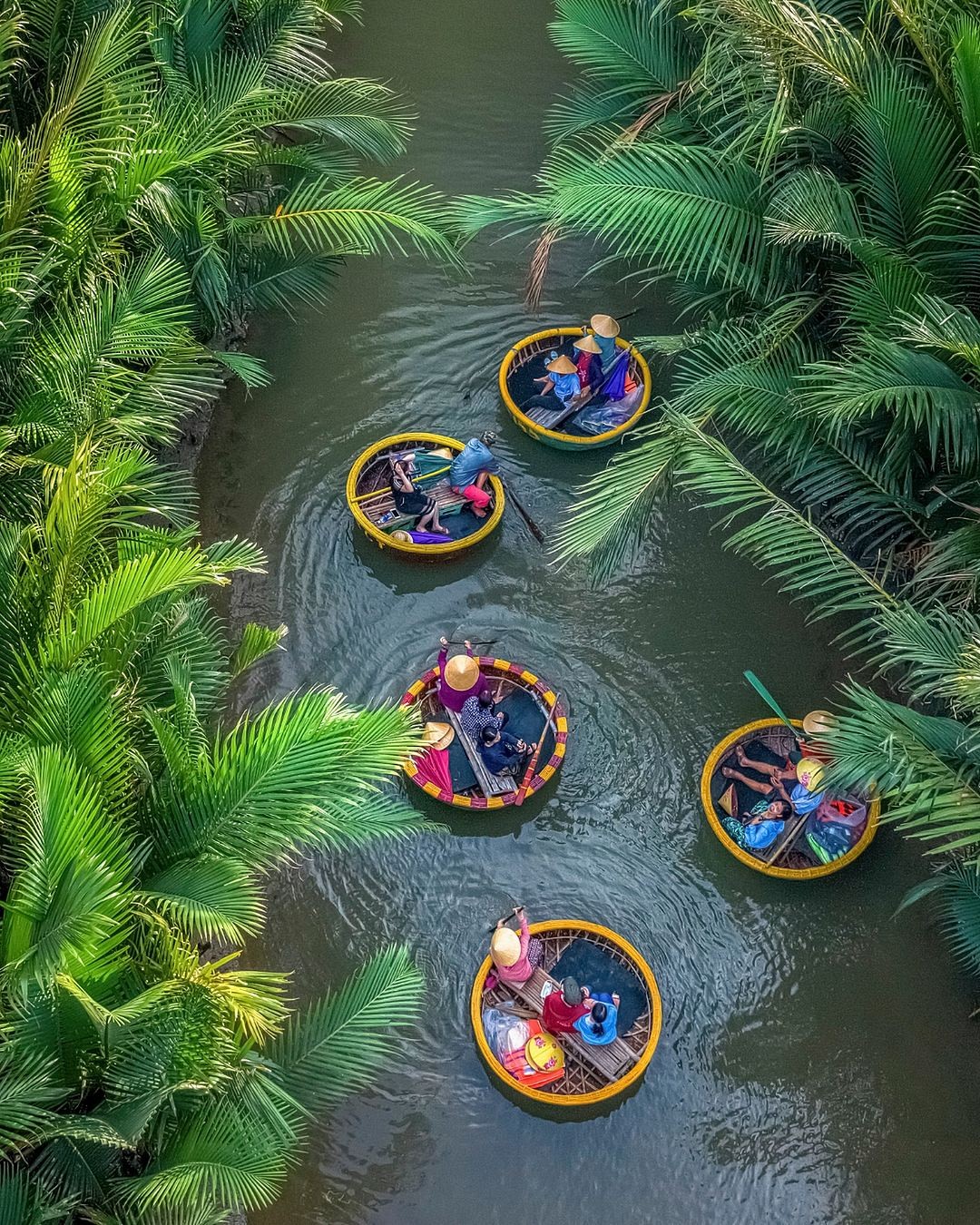 Best Time To Visit Vietnam: Weather & Travel Guide for 2026 - Ảnh 2