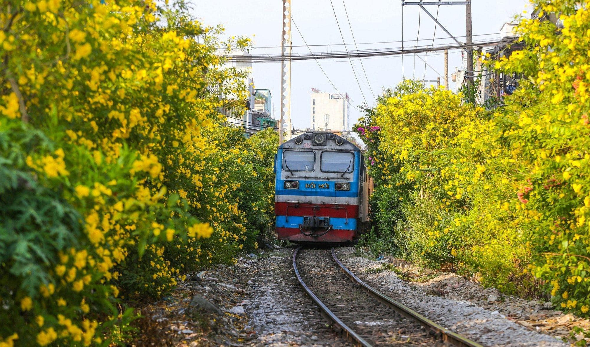 Kid-Friendly Activities in Vietnam: Best Things to Do for Families Traveling with Kids - Ảnh 7 Kid-Friendly Activities in Vietnam: Best Things to Do for Families Traveling with Kids - Ảnh 7