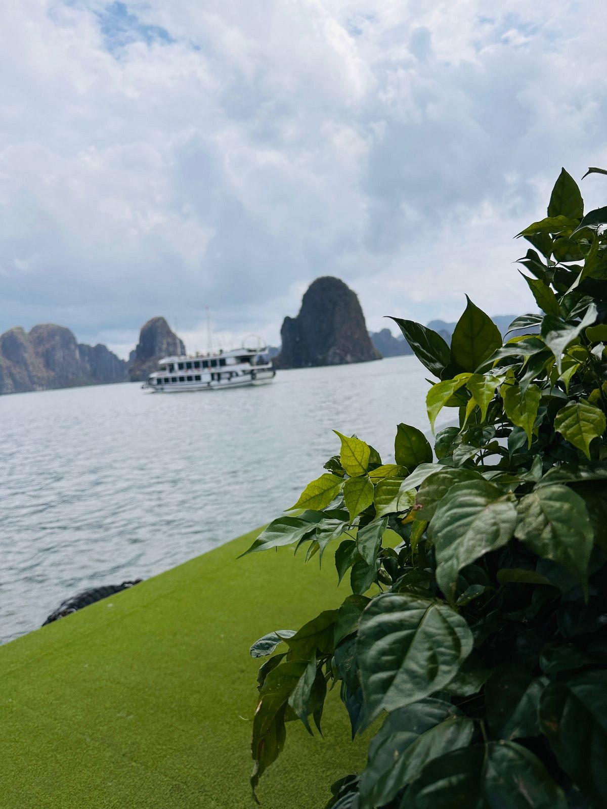 Ninh Binh or Halong Bay: Which Should You Visit - Ảnh 6 Ninh Binh or Halong Bay: Which Should You Visit - Ảnh 6