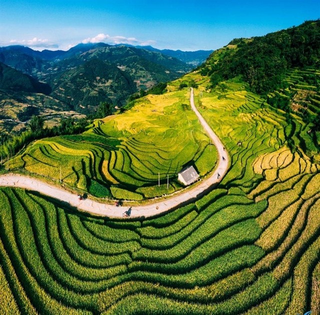Vietnams Most Beautiful Rice Terraces: Where to Go & Best Time to Visit - Ảnh 2