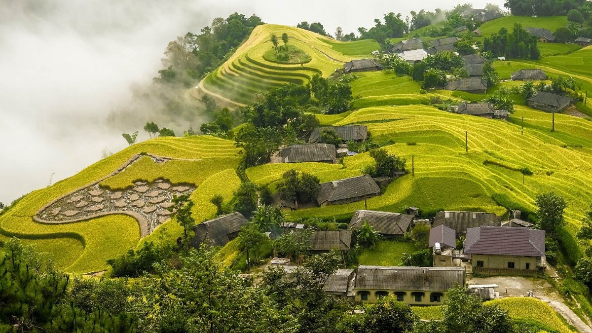 Vietnams Most Beautiful Rice Terraces: Where to Go & Best Time to Visit - Ảnh 4